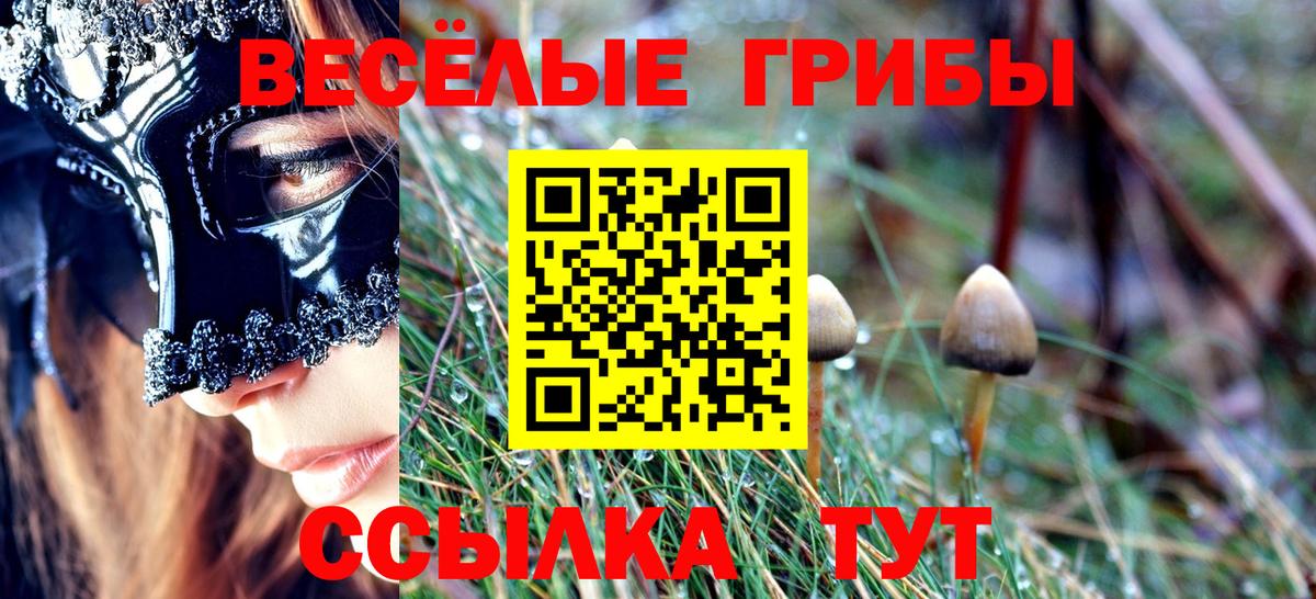 Галлюциногенные грибы GOLDEN TEACHER  Вход с VPN  Серпухов 